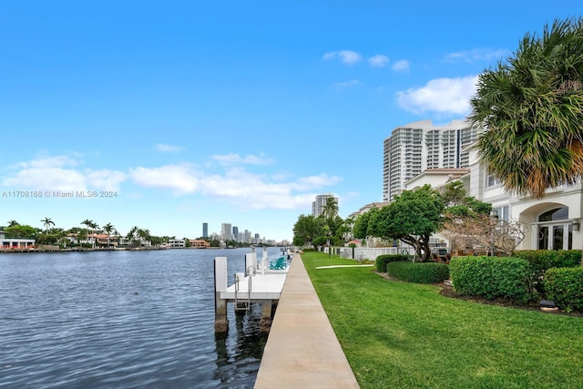 dock area with a yard and a water view