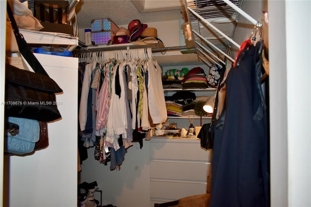 view of closet