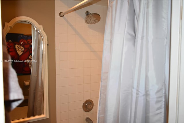 interior details with shower / tub combo with curtain