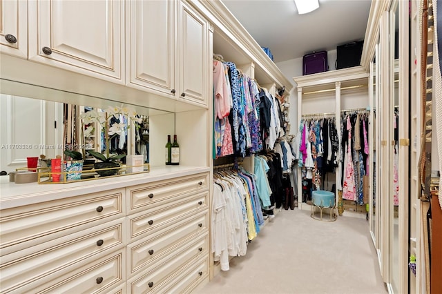 spacious closet with light colored carpet