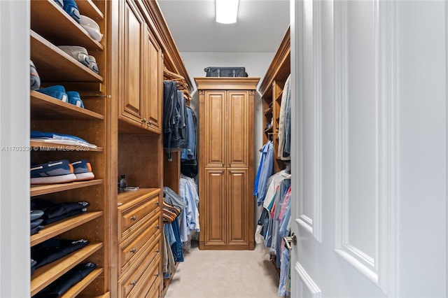 spacious closet featuring light carpet