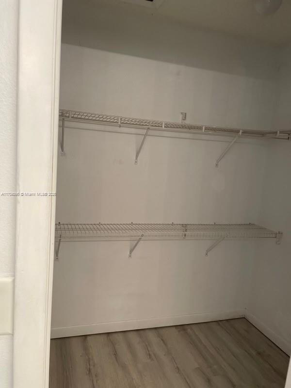 spacious closet featuring hardwood / wood-style flooring