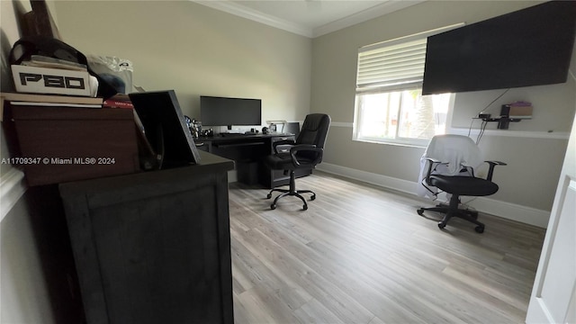 office featuring light hardwood / wood-style floors and crown molding