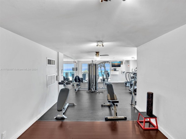 exercise room featuring ceiling fan and dark hardwood / wood-style flooring