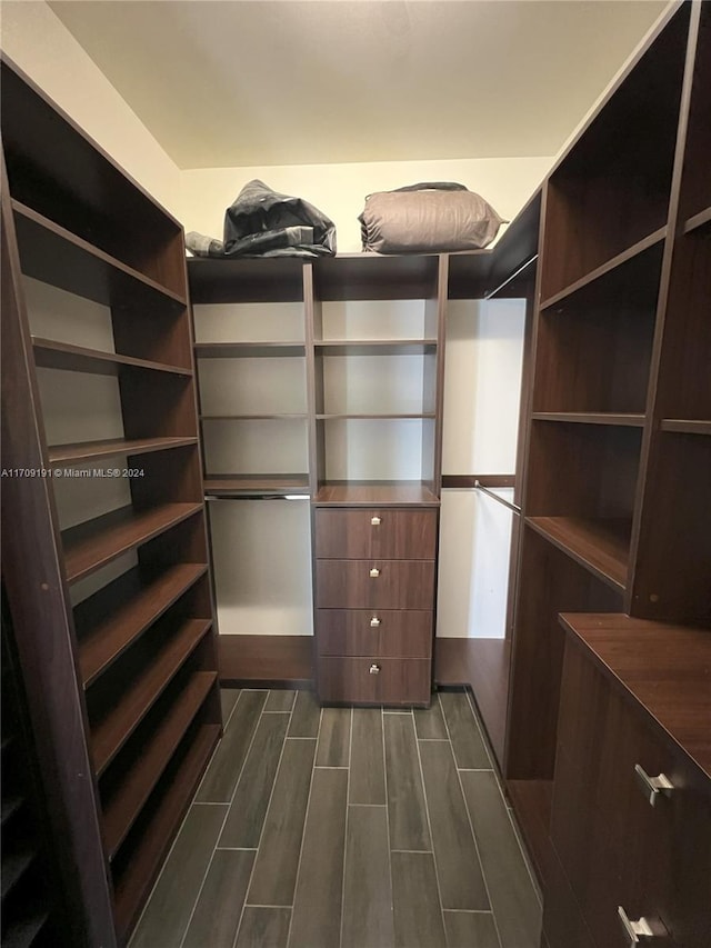 spacious closet featuring dark wood-type flooring