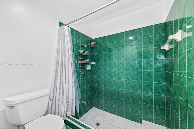 bathroom with toilet and a shower with shower curtain