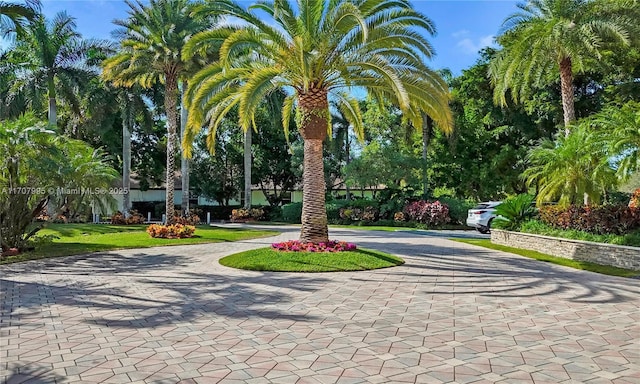 2445 Provence Cir, Weston, FL 33327 - surrounding community with curved driveway