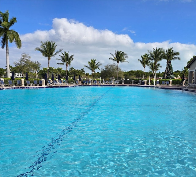 view of swimming pool