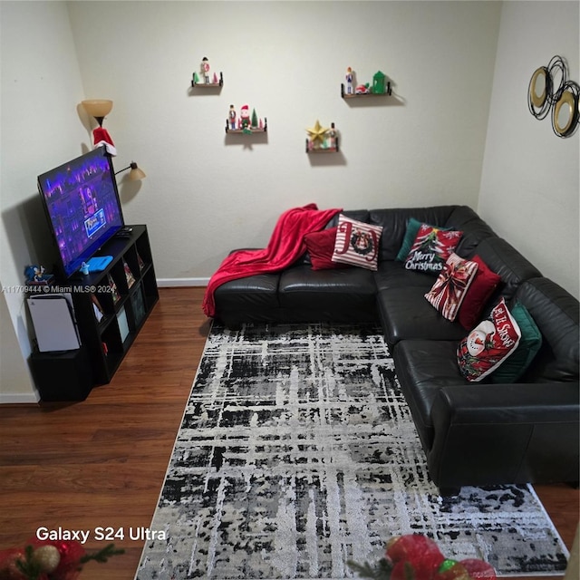 living room with dark hardwood / wood-style flooring