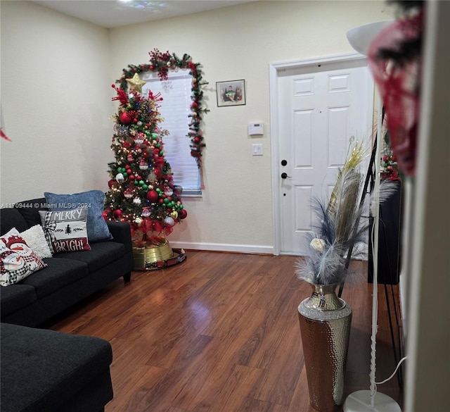 living room featuring dark wood-type flooring