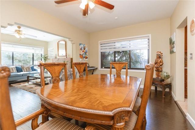 dining room featuring dark hardwood / wood-style floors, a wealth of natural light, and ceiling fan