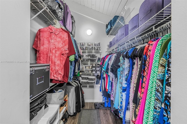 walk in closet featuring hardwood / wood-style flooring