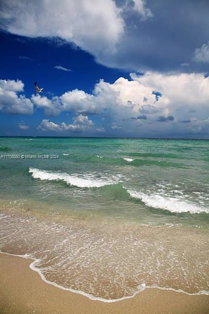 water view featuring a beach view