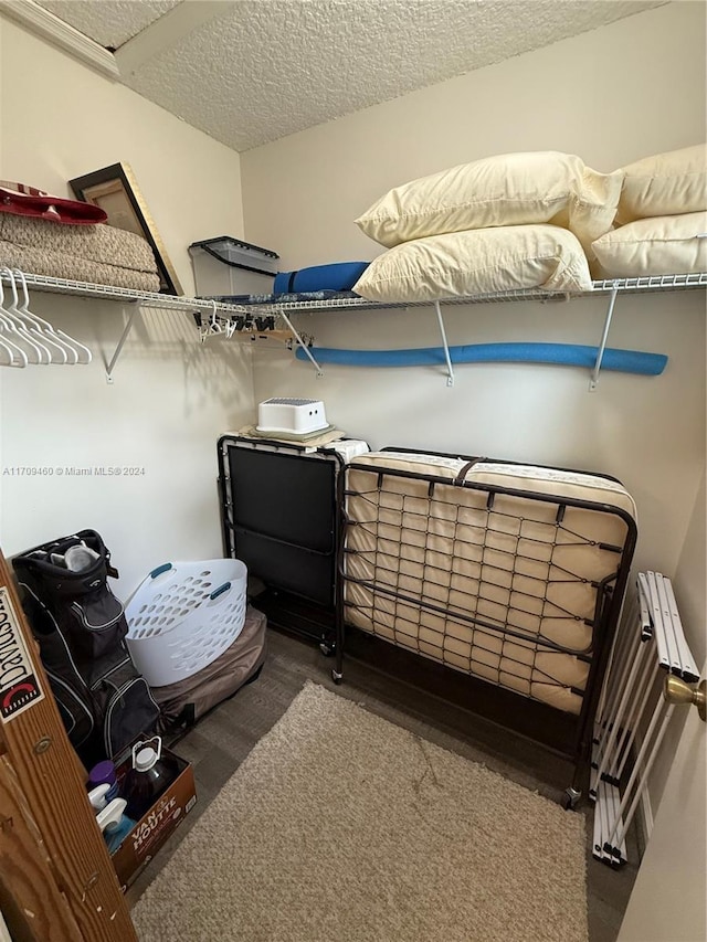 spacious closet with carpet