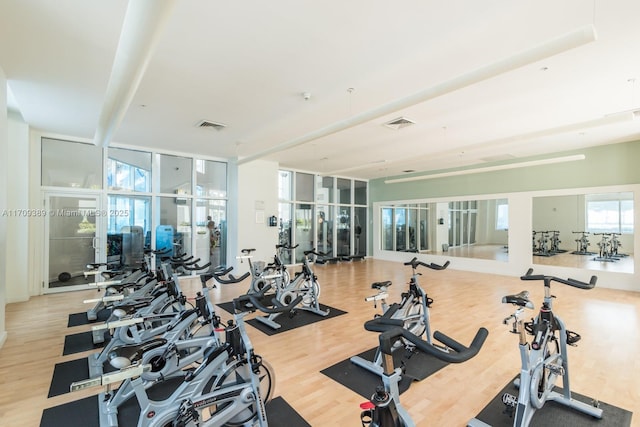 gym with floor to ceiling windows, plenty of natural light, and light hardwood / wood-style flooring