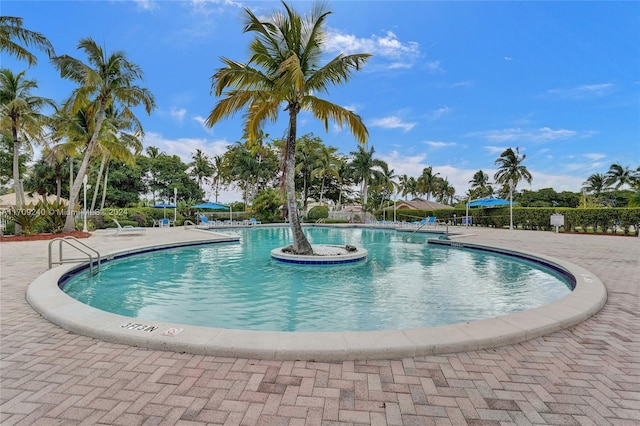 view of swimming pool featuring a patio area