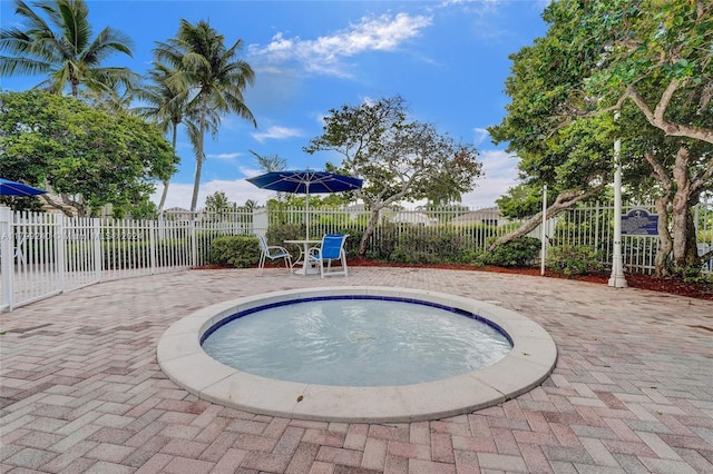 view of swimming pool featuring a patio area