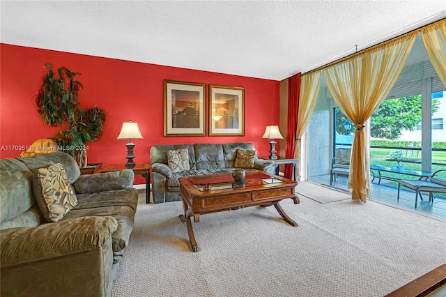 living room with carpet flooring and a textured ceiling