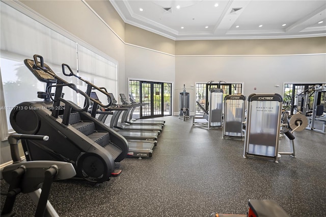 workout area with a healthy amount of sunlight, a high ceiling, and ornamental molding