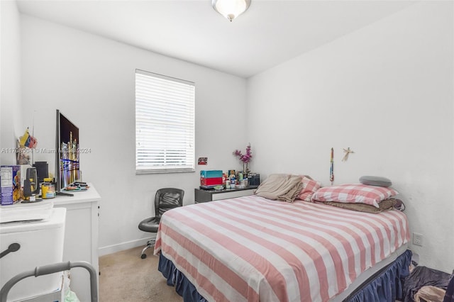 bedroom with light carpet