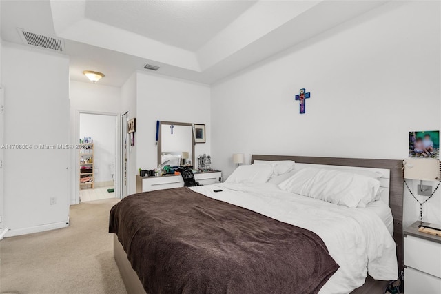 carpeted bedroom with a raised ceiling