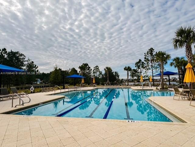 view of pool featuring a patio