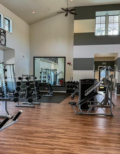 exercise room featuring hardwood / wood-style flooring, ceiling fan, and a towering ceiling