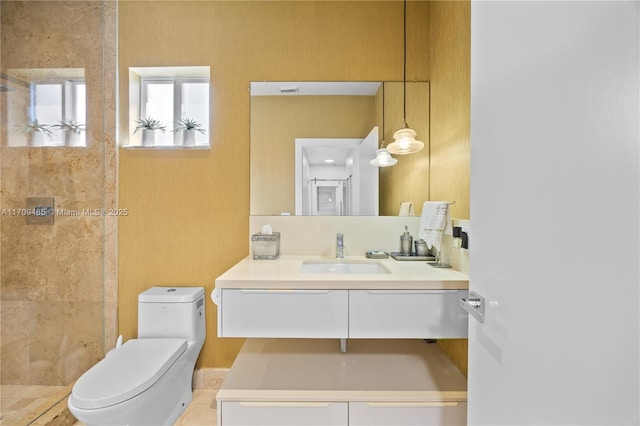 bathroom with toilet and vanity