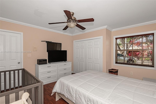 bedroom with ceiling fan, dark hardwood / wood-style floors, ornamental molding, and a closet