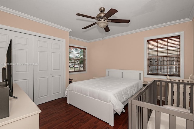 bedroom featuring ceiling fan, crown molding, dark wood-type flooring, and a closet