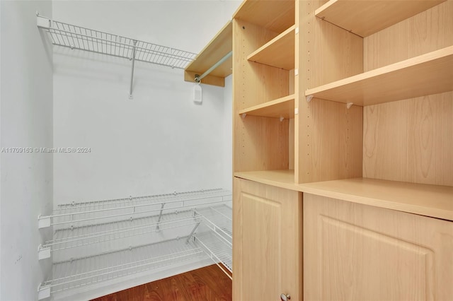 walk in closet featuring hardwood / wood-style flooring