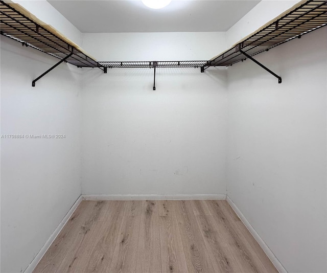 walk in closet with light hardwood / wood-style floors