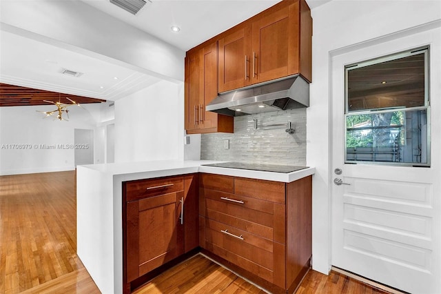 1431 Ancona Ave, Coral Gables, FL 33146 - kitchen featuring under cabinet range hood, decorative backsplash, light countertops, a peninsula, and wood finished floors