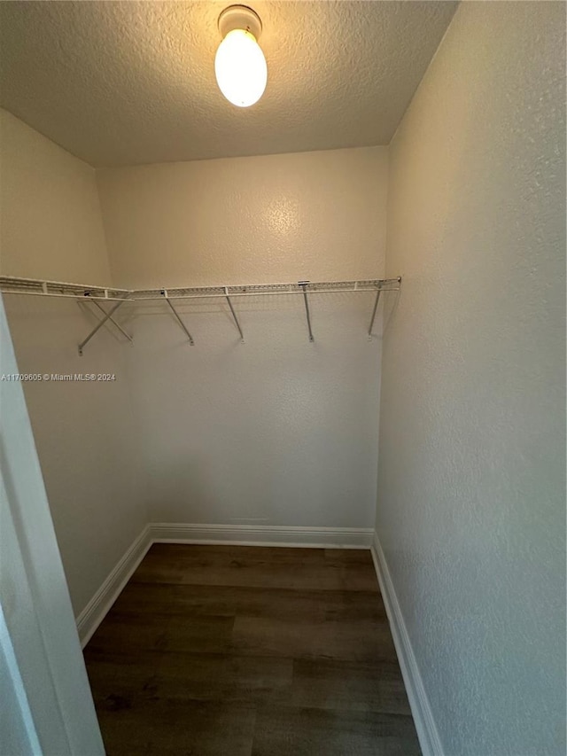 spacious closet with dark hardwood / wood-style floors