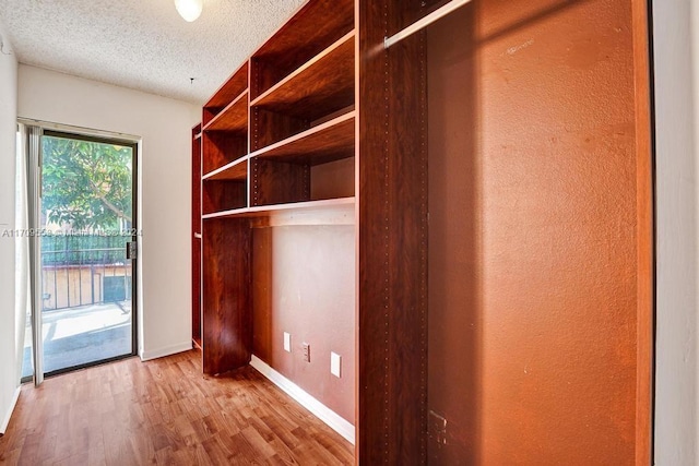 walk in closet with light hardwood / wood-style floors