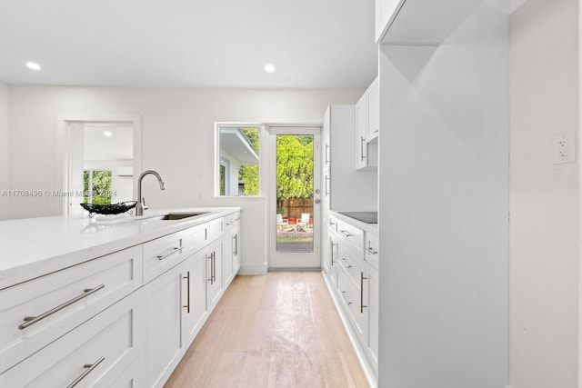 kitchen with black electric stovetop, light hardwood / wood-style floors, white cabinetry, and sink