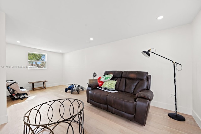 living room with light wood-type flooring