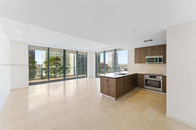 kitchen with kitchen peninsula, stainless steel appliances, a healthy amount of sunlight, and sink