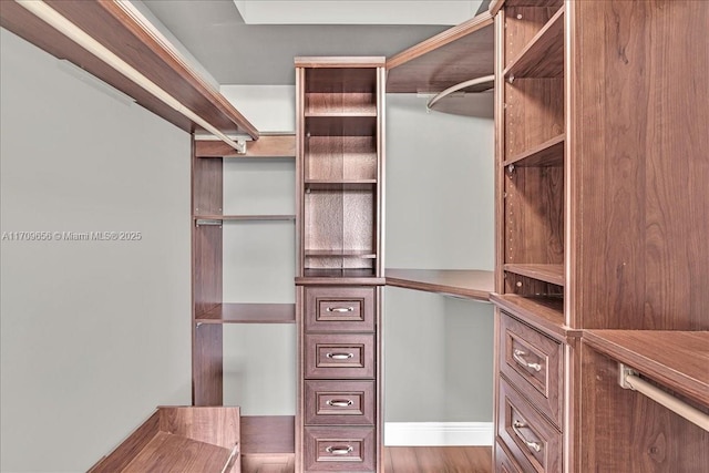 walk in closet with wood-type flooring