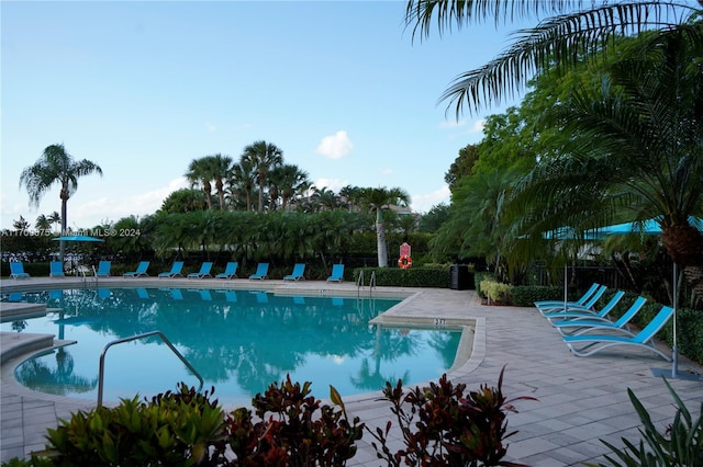 view of swimming pool featuring a patio