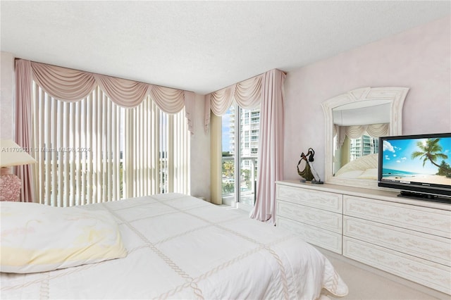 bedroom featuring access to exterior and a textured ceiling