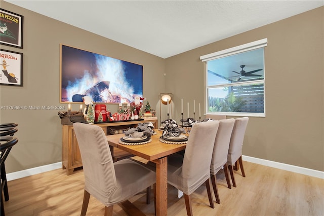 dining space with ceiling fan and light hardwood / wood-style flooring