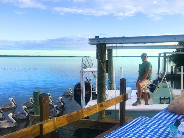 dock area with a water view