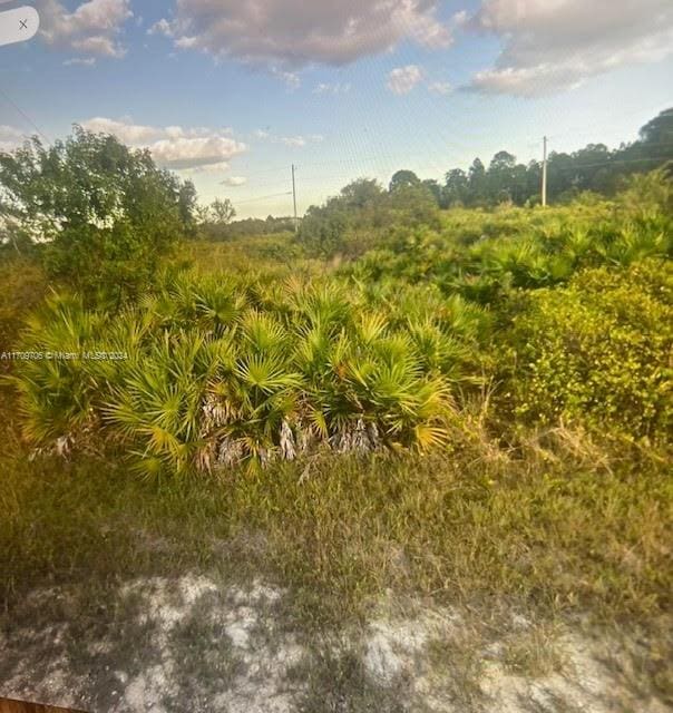 1402 Louis Ave, Lehigh Acres FL, 33972 land for sale