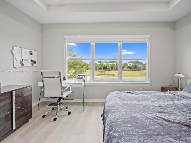 bedroom featuring a tray ceiling