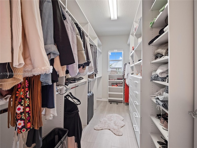 view of walk in closet