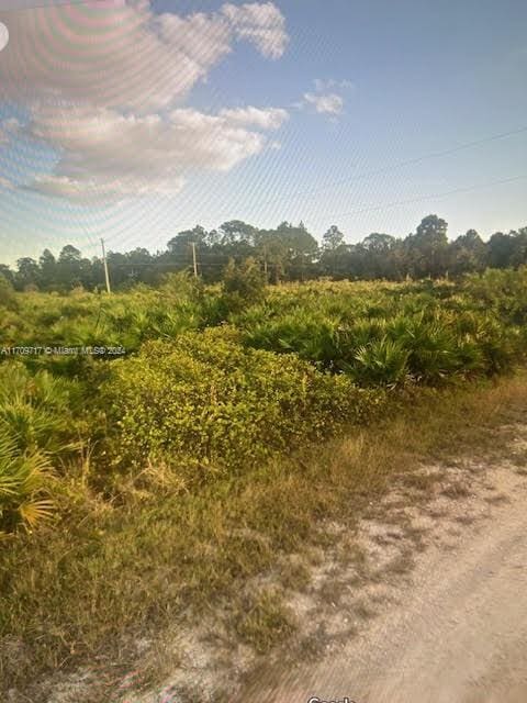 Listing photo 2 for 505 Leroy Ave, Lehigh Acres FL 33972