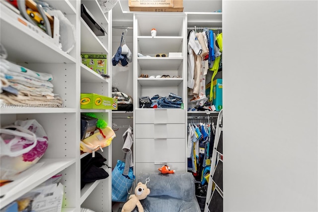 view of spacious closet