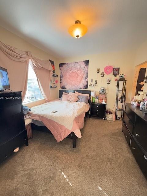 bedroom with carpet flooring