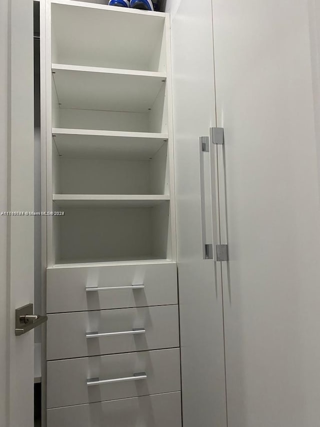 view of closet